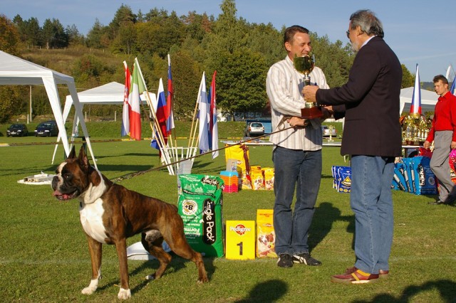 www.boxer-show.eu
